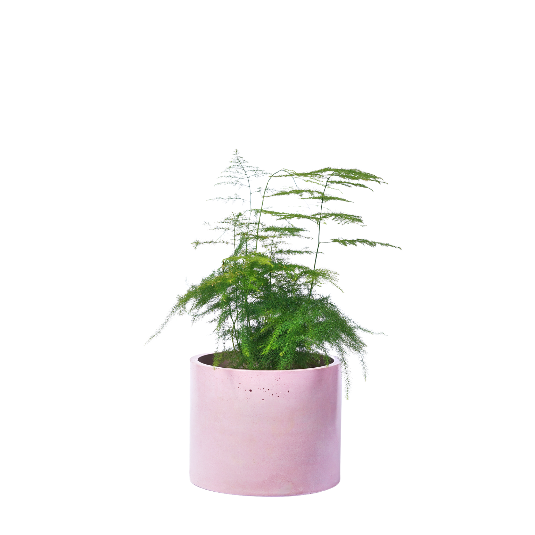 Cache-pot XXL - Béton Rose Pastel