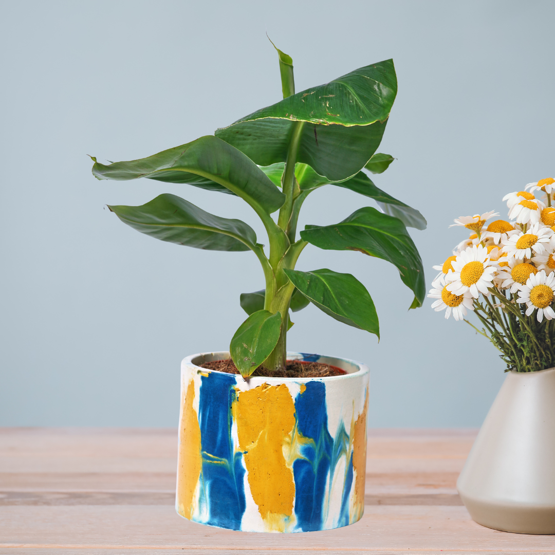 Cache-pot XXL Tie&Dye - Béton Bleu Pétrole et Jaune