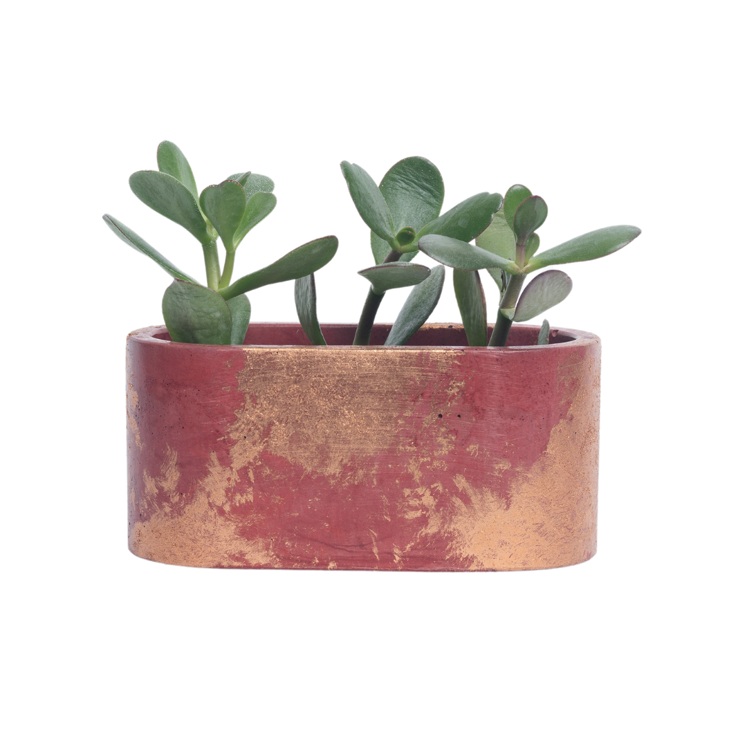Mini jardinière - Béton Terracotta Patine Cuivrée