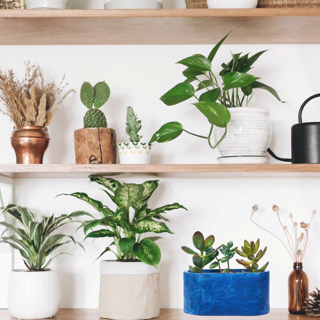 Mini jardinière - Béton Bleu