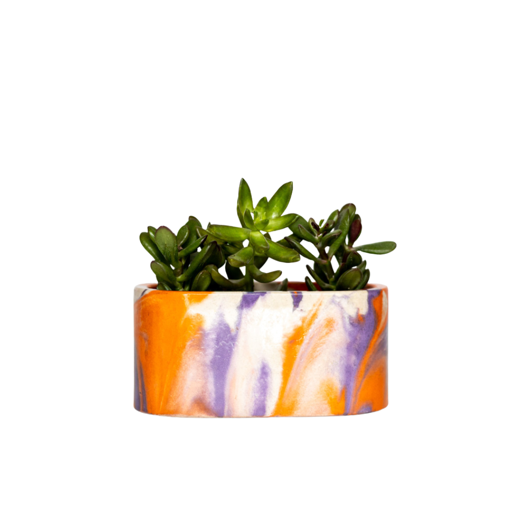 Mini jardinière Tie&Dye - Béton Lilas et Orange