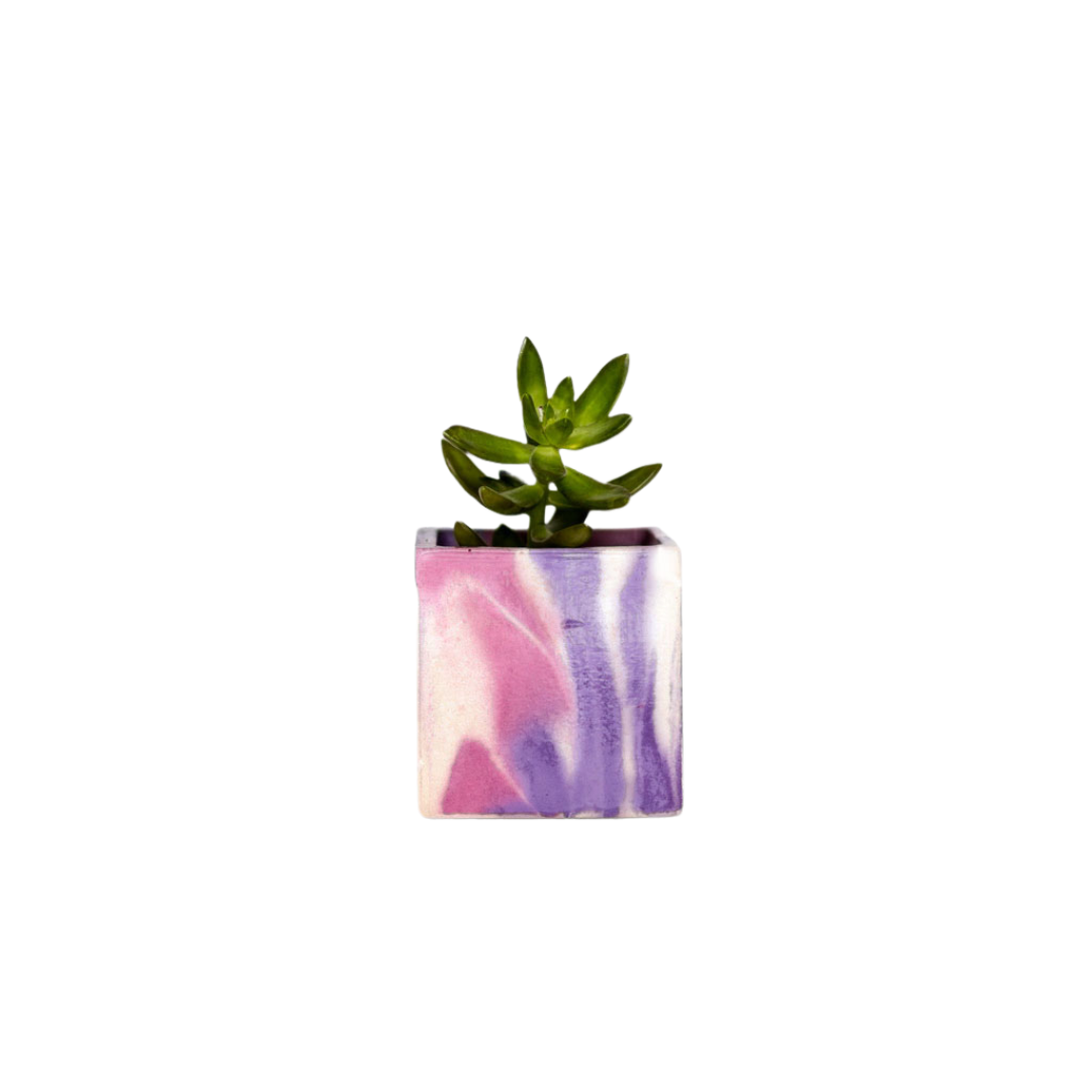 Mini pot de plante Tie&Dye - Béton Lilas et Rose