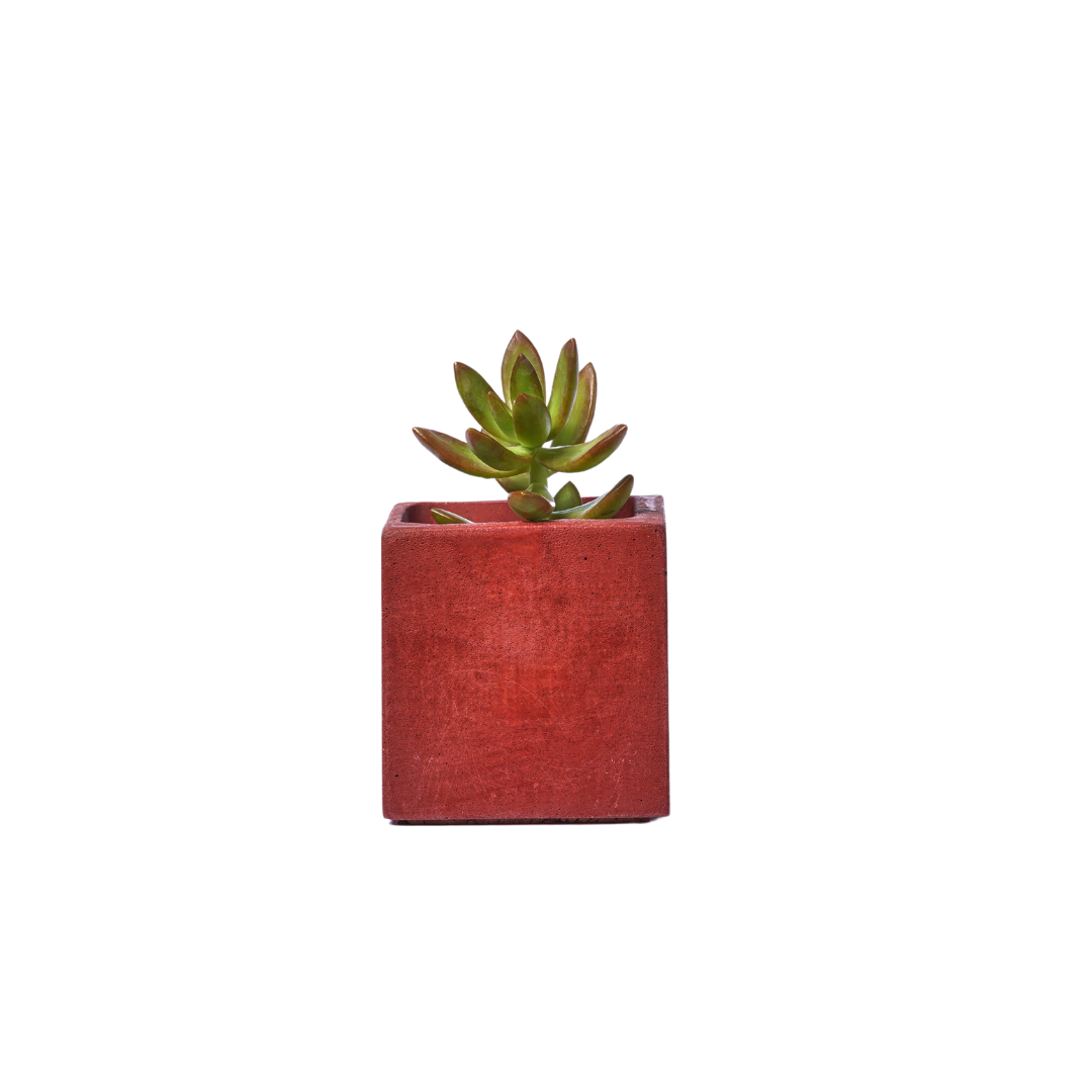 Mini pot de plante - Béton Brique
