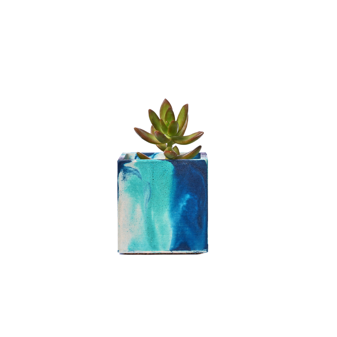 Mini pot de plante Tie&Dye - Béton Bleu Pétrole et Turquoise