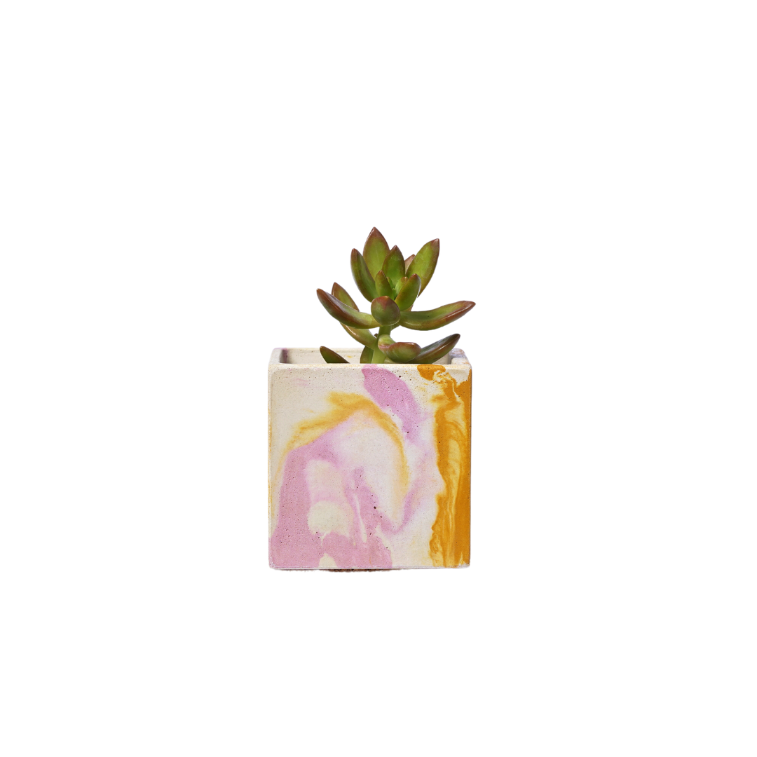 Mini pot de plante Tie&Dye - Béton Rose et Jaune