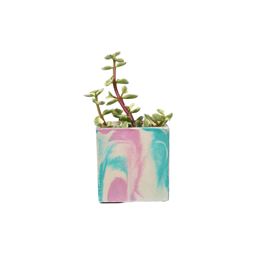 Mini pot de plante Tie&Dye - Béton Rose et Turquoise