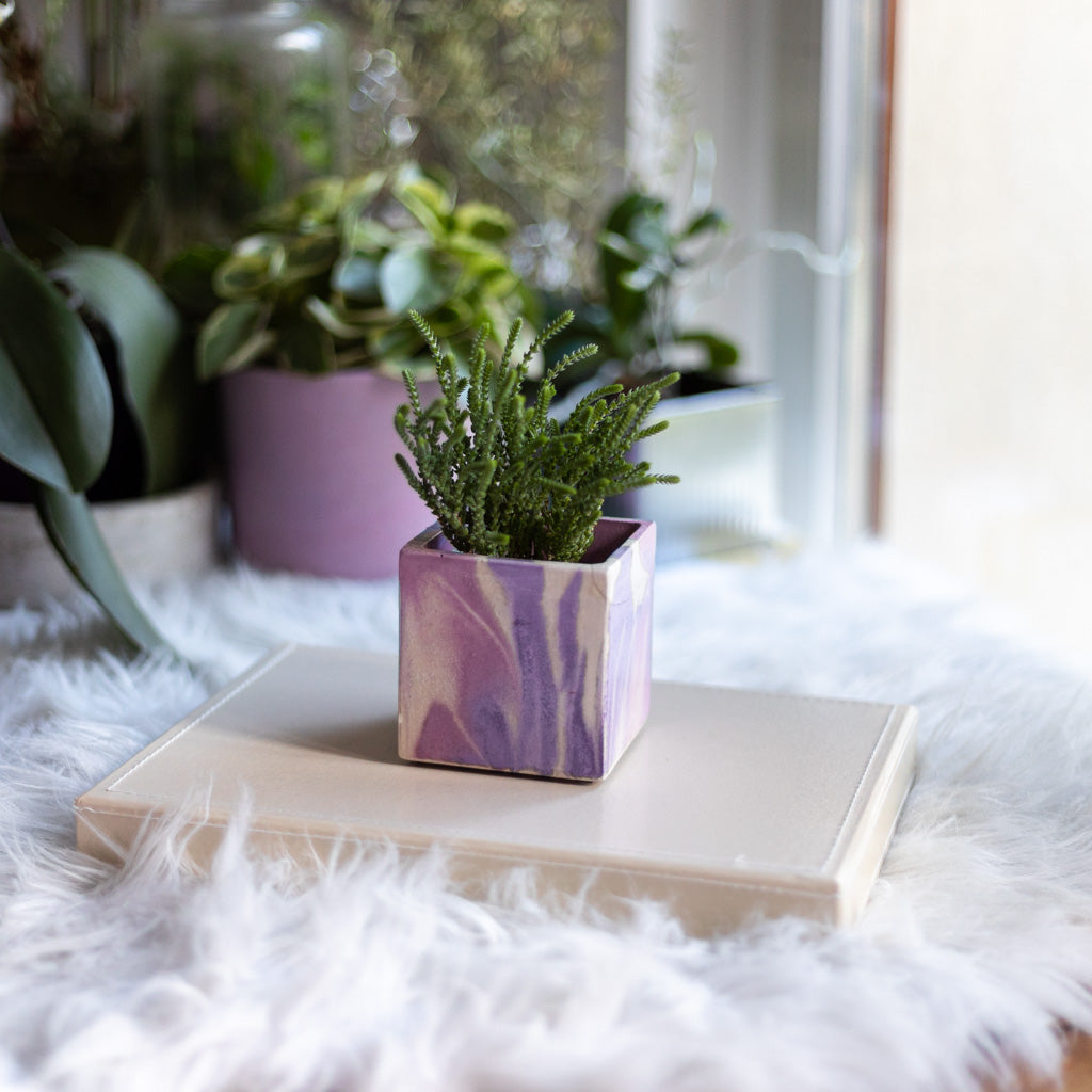 Mini pot de plante Tie&Dye - Béton Lilas et Rose