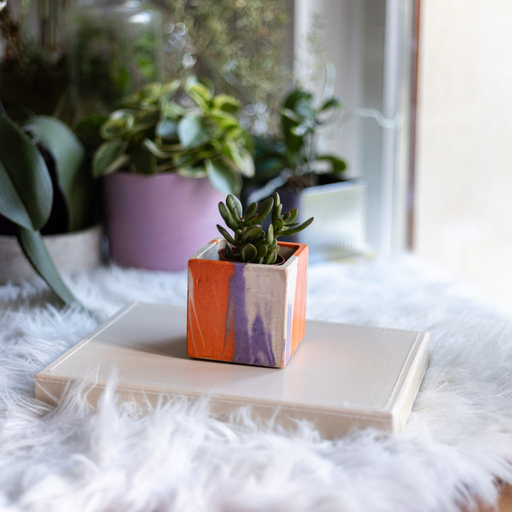 Mini pot de plante Tie&Dye - Béton Lilas et Orange